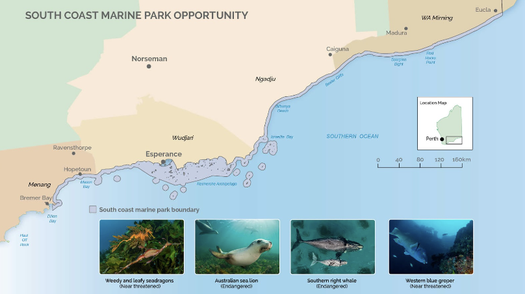 image of World-class protection for WA’s Southern Reef